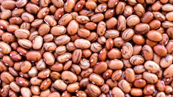 Beans Of Bean ( Beans )background Of Many Grains Of Dried Beans Brown Beans Texture Beans Of Bean ( Beans )background Of Many Grains Of Dried Beans Brown Beans Texture