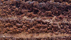 The Texture Of The Divided Chocolate Cake Has Chocolate Cream Sandwiched Between The Middle Of The Close Up Shot The Texture Of The Divided Chocolate Cake Has Chocolate Cream Sandwiched Between The Middle Of The Close Up Shot