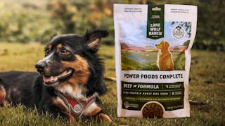 Pet Food Food Processing