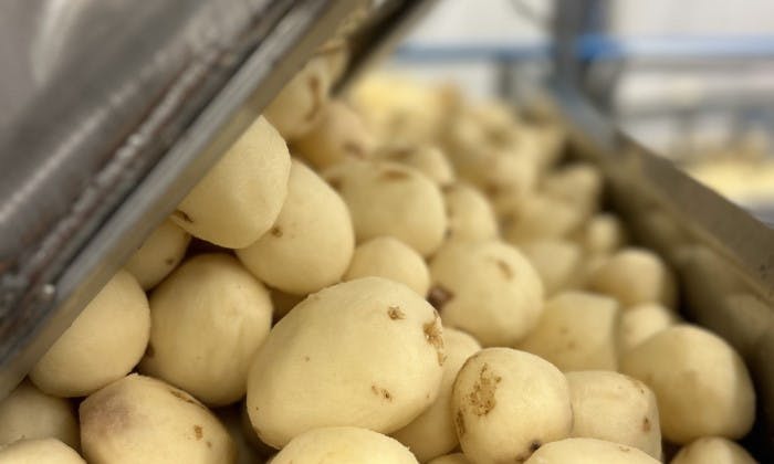 66f6d00c5ca017c5bbd3ca4a Whole Peeled Potatoes Awaiting To Be Sent To Be Tr