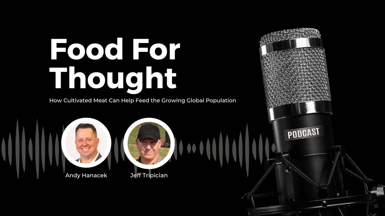 meatable_tripician_podcast_site_header