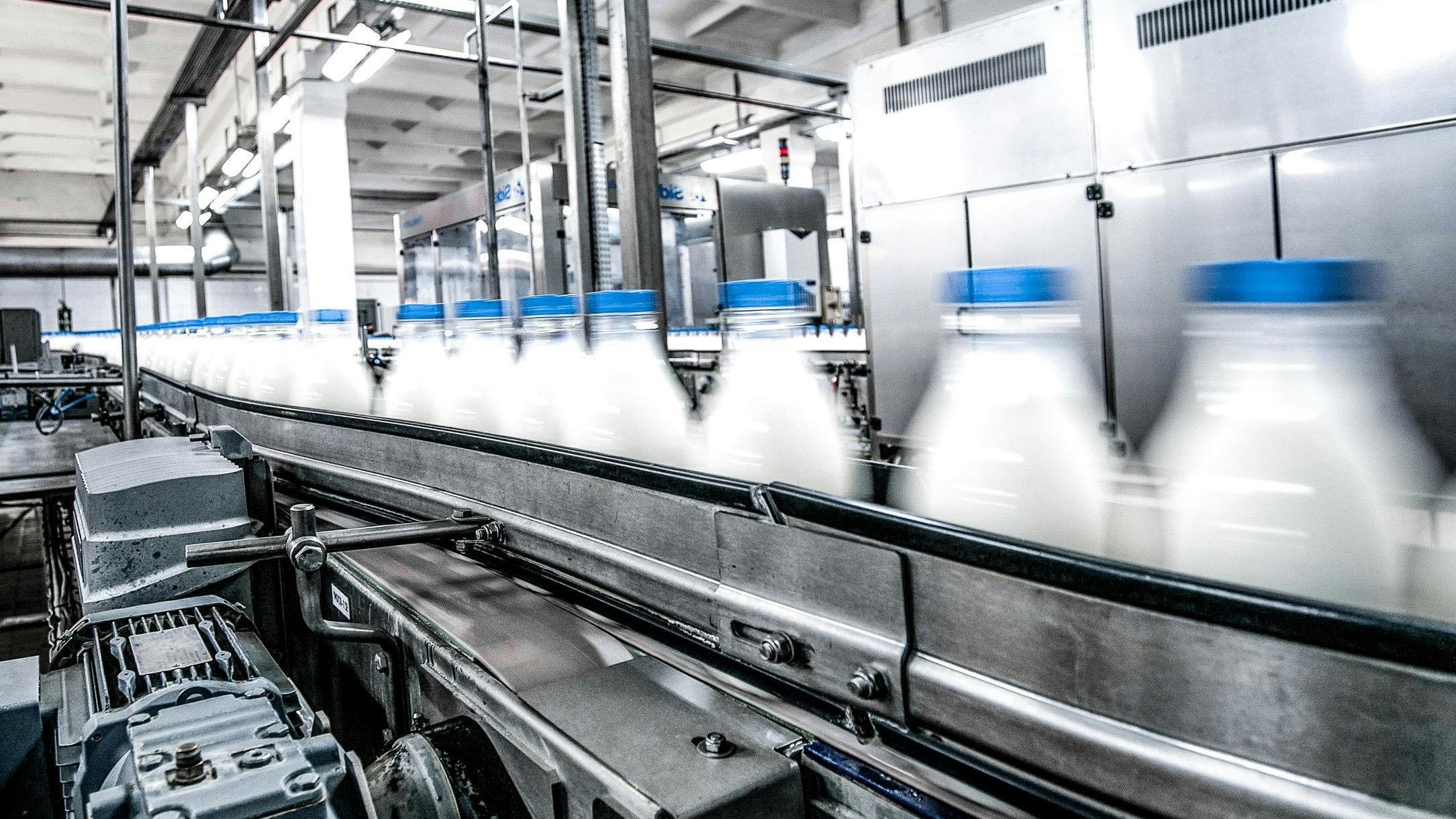 Milk production on line at the factory
