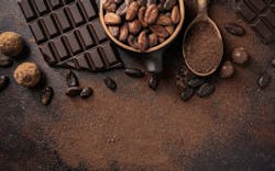 670068970d926b0ca6b9ec54 Shutterstock 1892846410 670068970d926b0ca6b9ec54 Shutterstock 1892846410