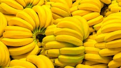 Fresh Banana Yellow Background In The Fruit Market Fresh Banana Yellow Background In The Fruit Market