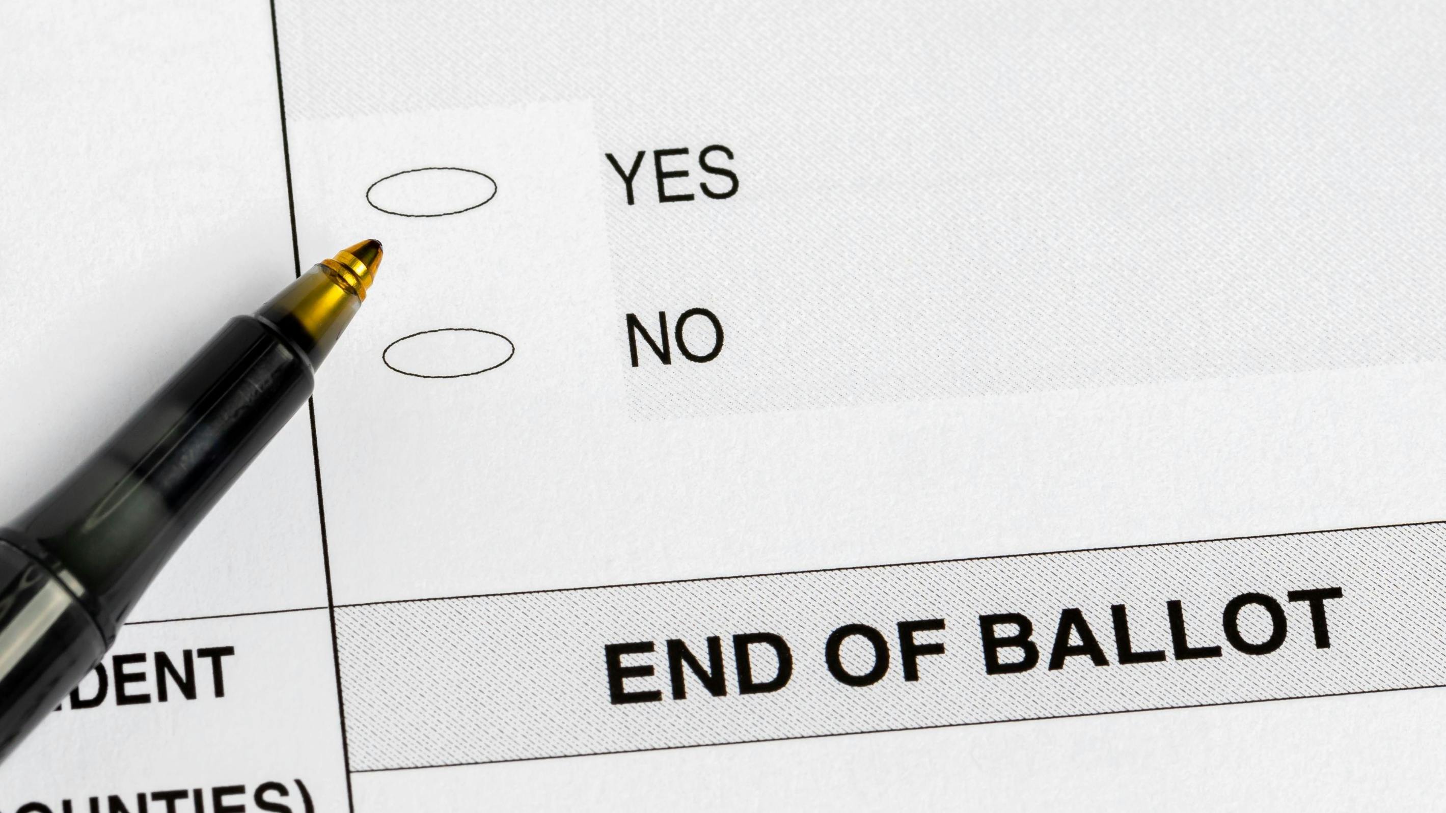 Election ballot with yes or no question. concept. Voting, government referendum and amendment