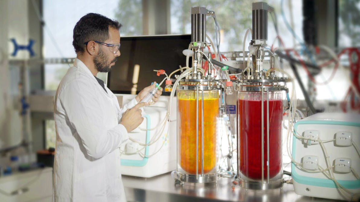 phytolon_fermentation_process