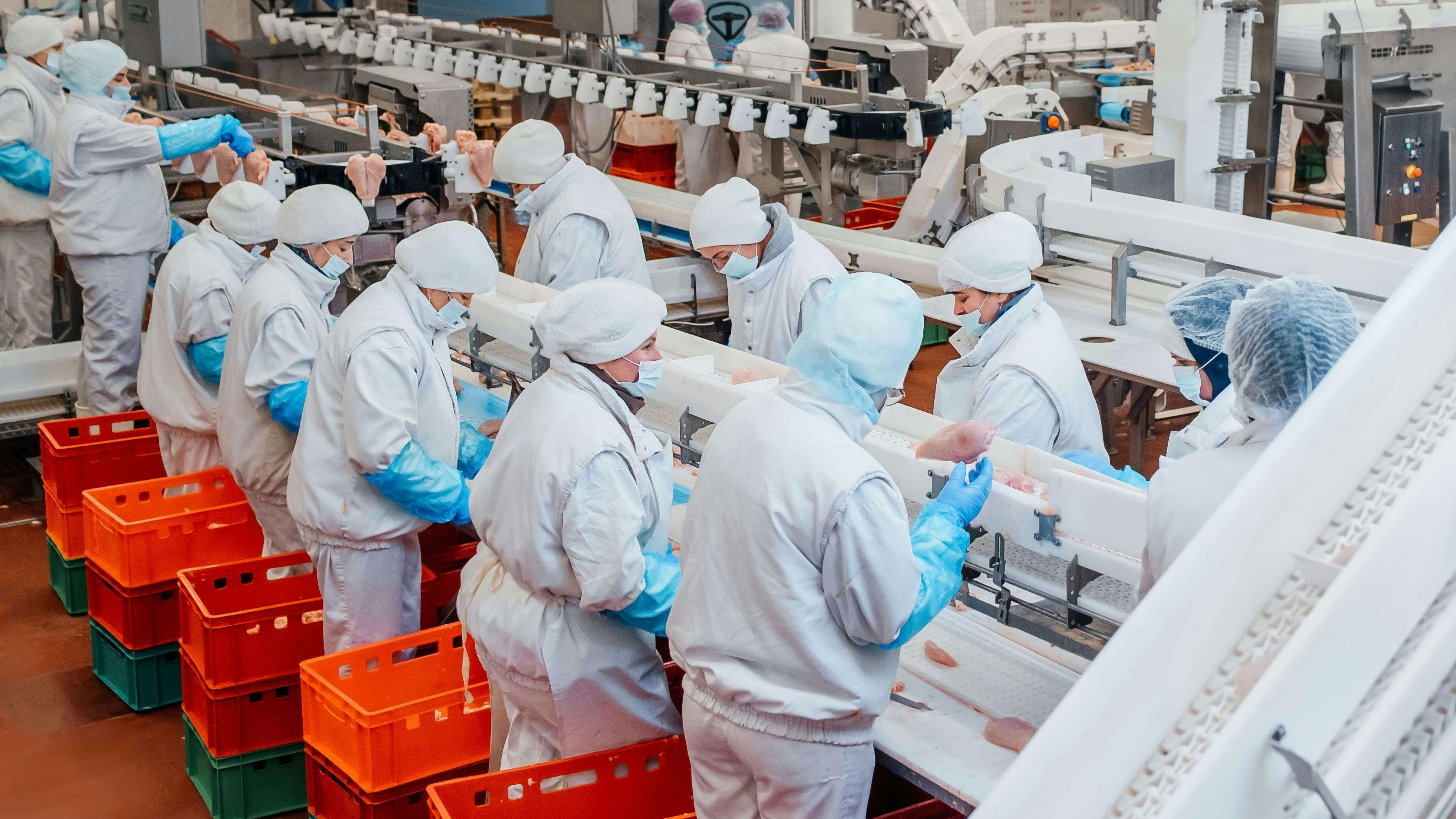 Factory For The Production Of Food From Meat Industrial Equipment At A Meat Factory