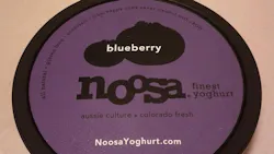 'Noosa Blueberry Yogurt'