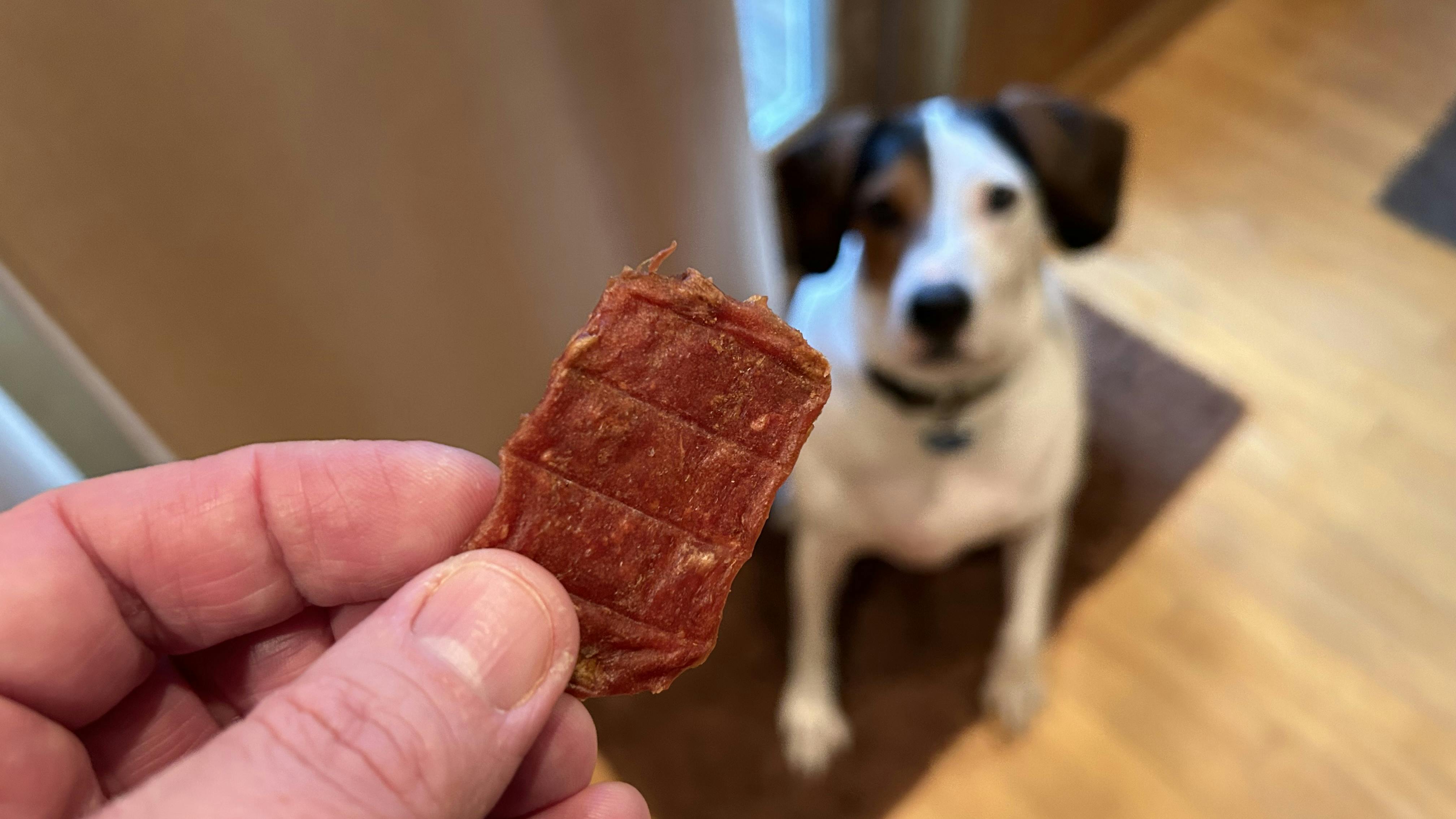 dogswell treat for dog