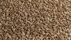 673ba3486d0d51fbacf2dca7 Shutterstock 1566578392 673ba3486d0d51fbacf2dca7 Shutterstock 1566578392