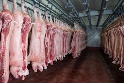 673bb1605e58272569d18458 Pigsadobestock 232083521 673bb1605e58272569d18458 Pigsadobestock 232083521