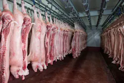 6791652b3fb59f218d67f06b Porkadobestock 232083521 1 6791652b3fb59f218d67f06b Porkadobestock 232083521 1