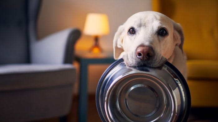 67b76c0c087f2a2007e0cc56 Hillsadobestock 431946074