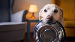 67b76c0c087f2a2007e0cc56 Hillsadobestock 431946074 67b76c0c087f2a2007e0cc56 Hillsadobestock 431946074