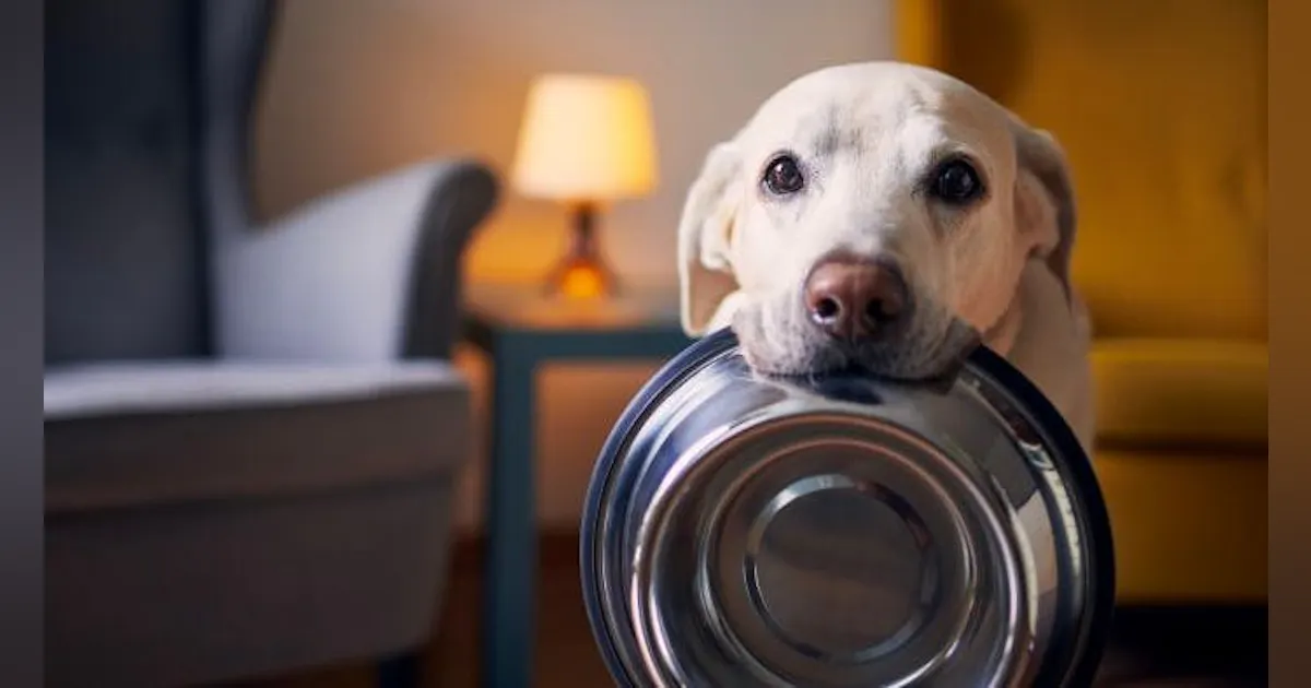 Colgate-Palmolive/Hill’s to Acquire an Australian Fresh Pet Food ...