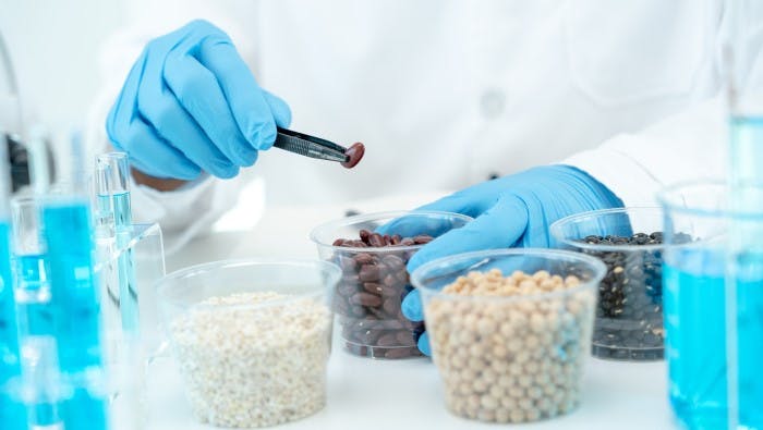 Protein Ingredients: Research & Success