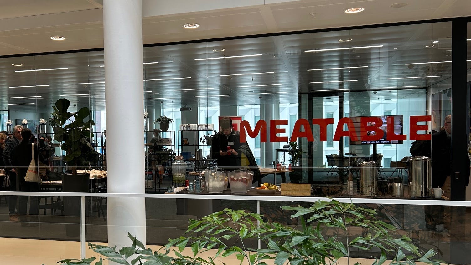 meatable offices leiden netherlands