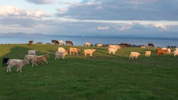 67cf51a1ddfc48438b4f94e7 Image 123650291 67cf51a1ddfc48438b4f94e7 Image 123650291