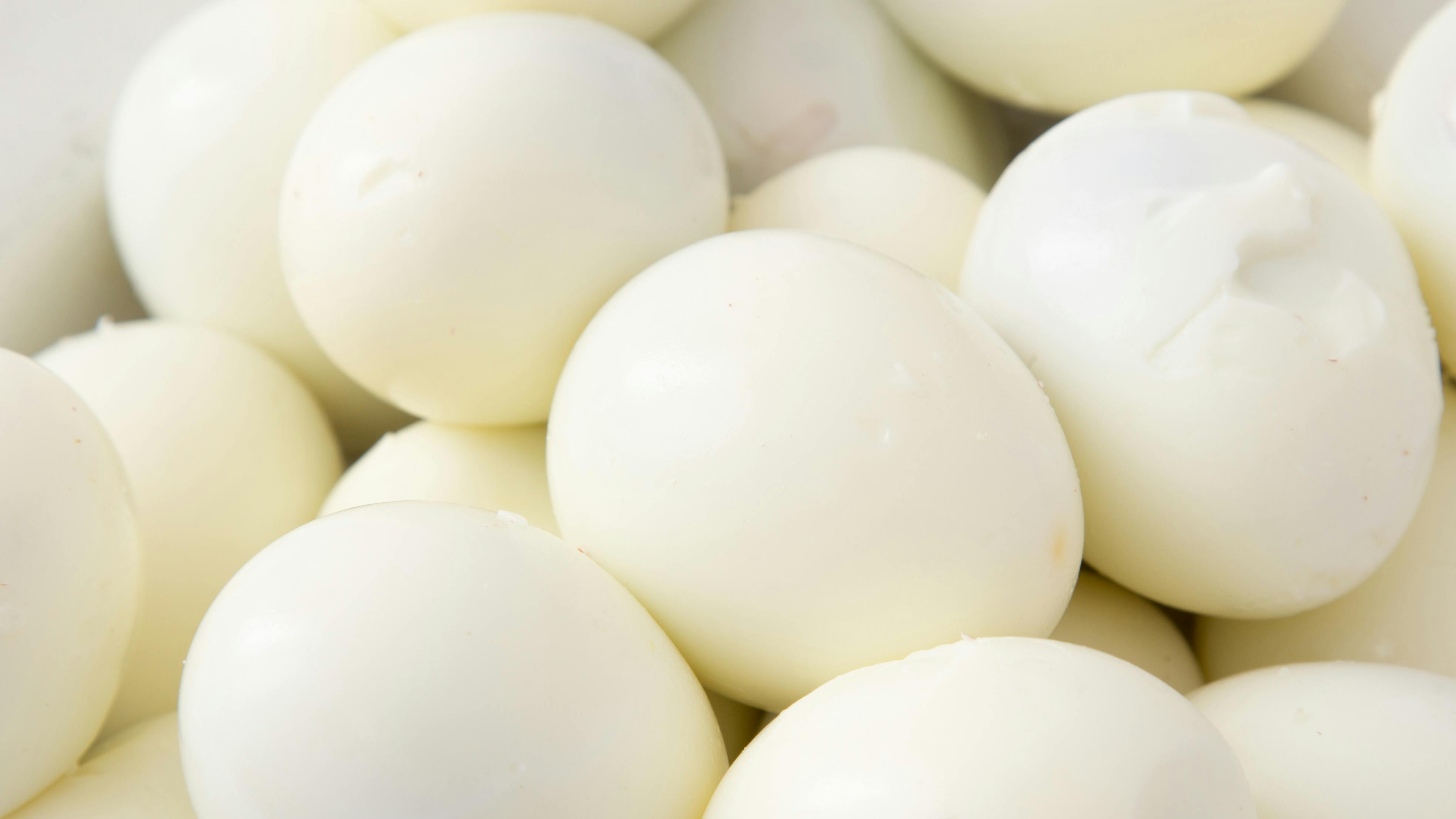 boiled eggs on a white background