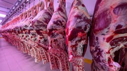 67d9a380168f1934c73ca2a3 Shutterstock 1722294586 67d9a380168f1934c73ca2a3 Shutterstock 1722294586