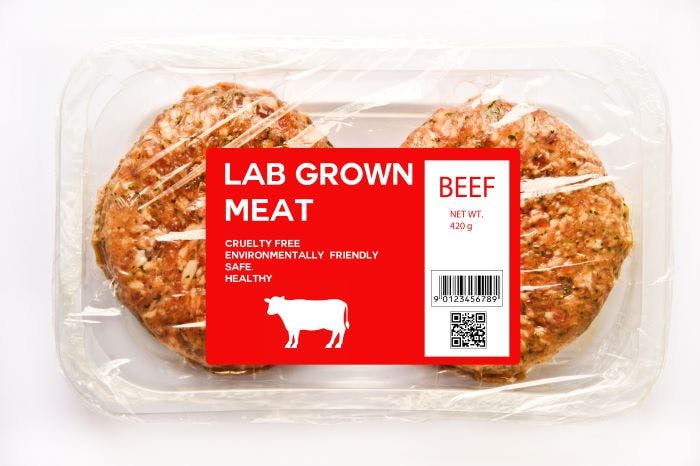 67e1ba23d970af706af209b5 Culturedmeat2adobestock 490670189