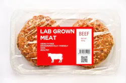67e1ba23d970af706af209b5 Culturedmeat2adobestock 490670189