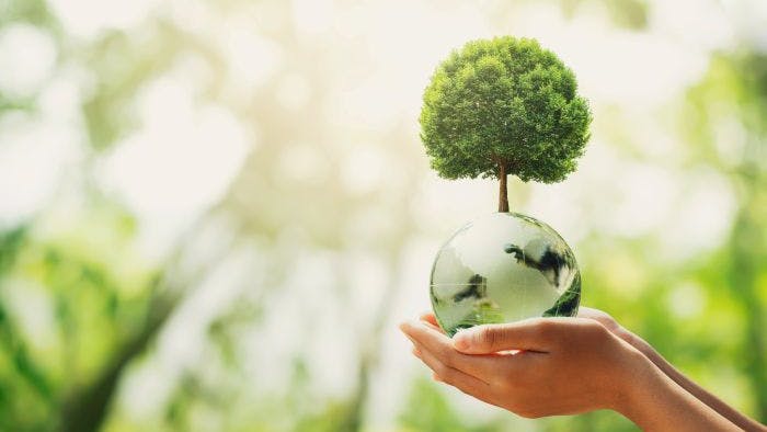 67ffff167a3034afe7c0f894 Sustainableadobestock 437495603