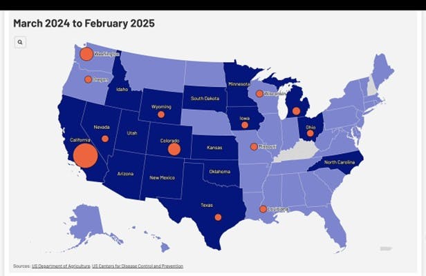 680658ce7e8170dd8e16e93d Cbsbirdflu