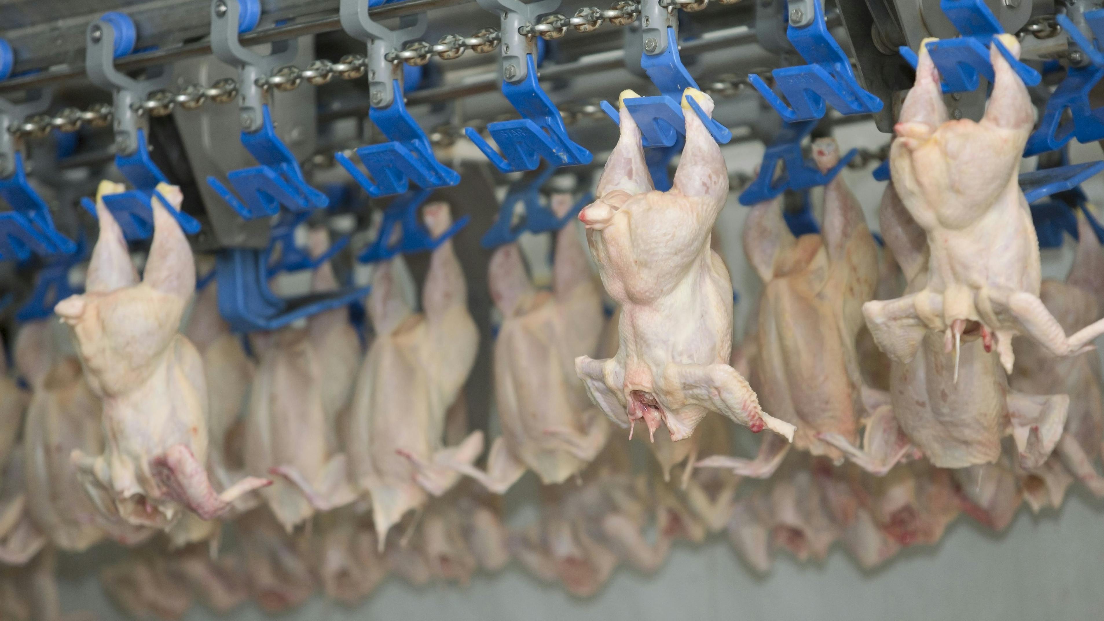 680a6a28e532bdc76f7bd1f6 Shutterstock 722271751