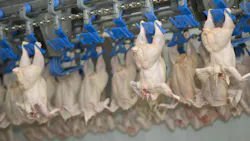 680a6a28e532bdc76f7bd1f6 Shutterstock 722271751 680a6a28e532bdc76f7bd1f6 Shutterstock 722271751