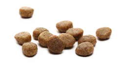 682b5e15837909c54a8d47b9 Shutterstock 1982889656 682b5e15837909c54a8d47b9 Shutterstock 1982889656