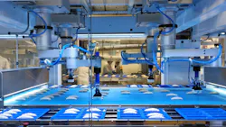 High-tech robots put French croissants into containers. High-tech robots put French croissants into containers.