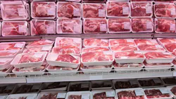 6866d3b9fb01f31cb899210b Shutterstock 69907981 6866d3b9fb01f31cb899210b Shutterstock 69907981