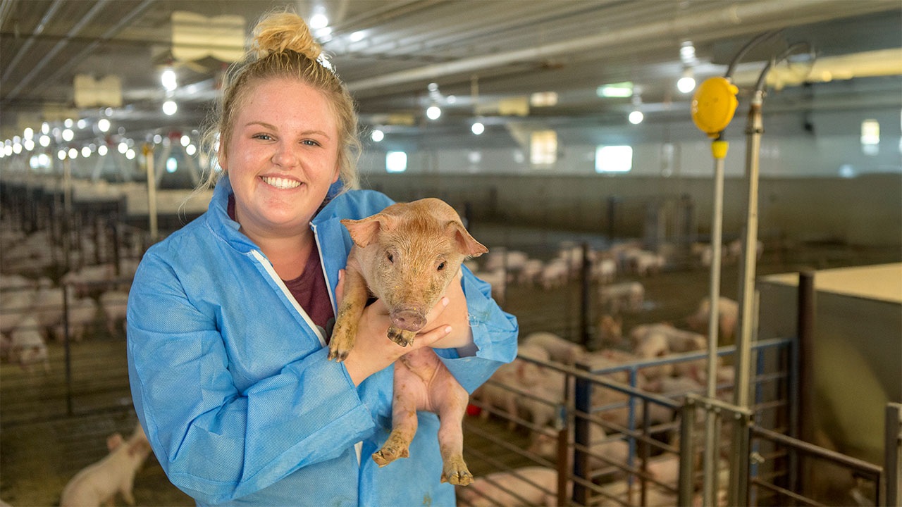 68824f43607d75a91b9683d9 1097912668232190 Wonderlysustainabilityad1280x72