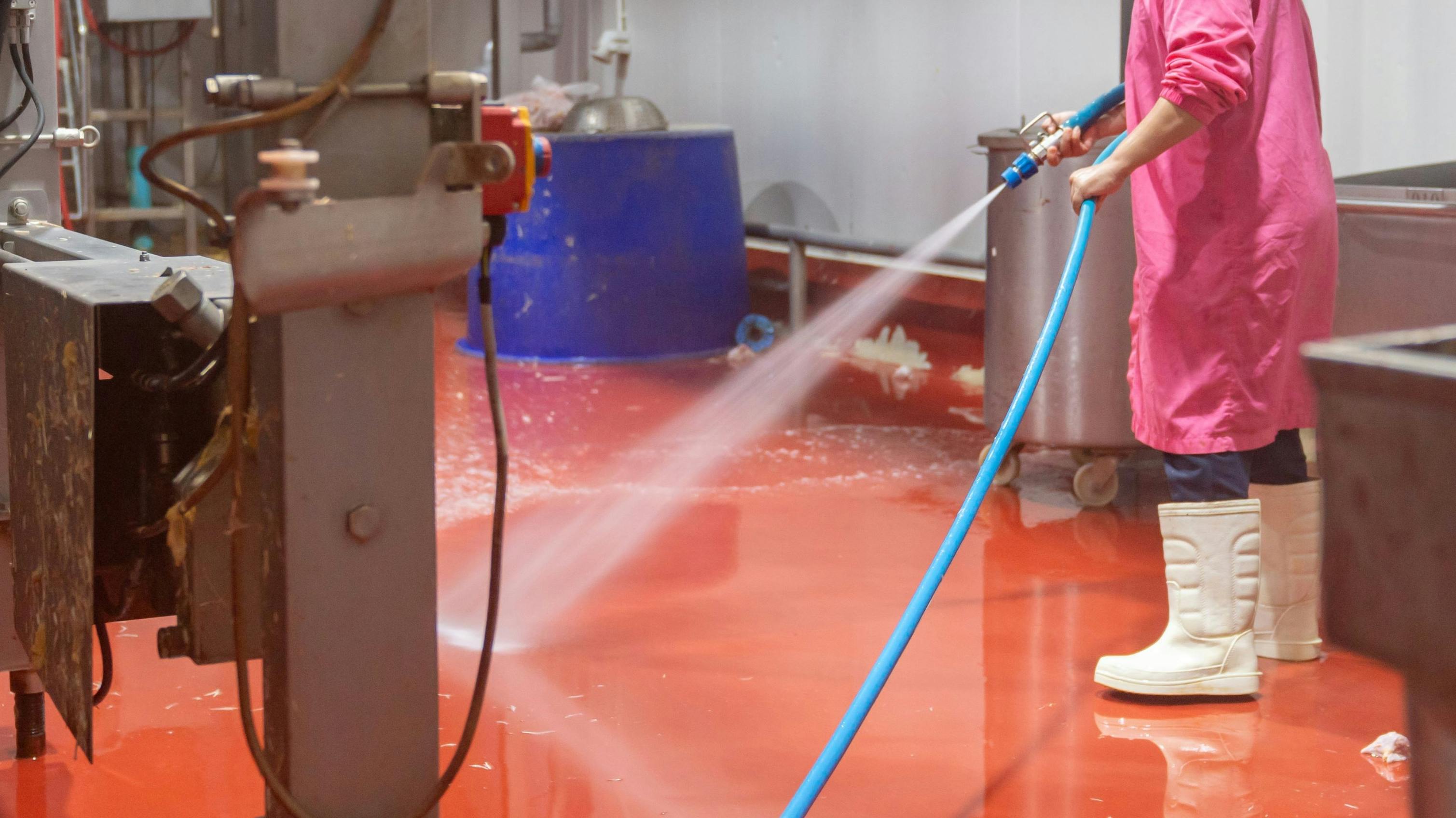 shutterstock_2431578685