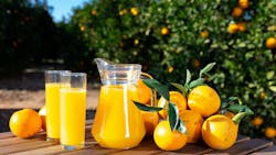 Glasses and carafes with orange juice and fresh fruits against sunny citrus plantation Glasses and carafes with orange juice and fresh fruits against sunny citrus plantation