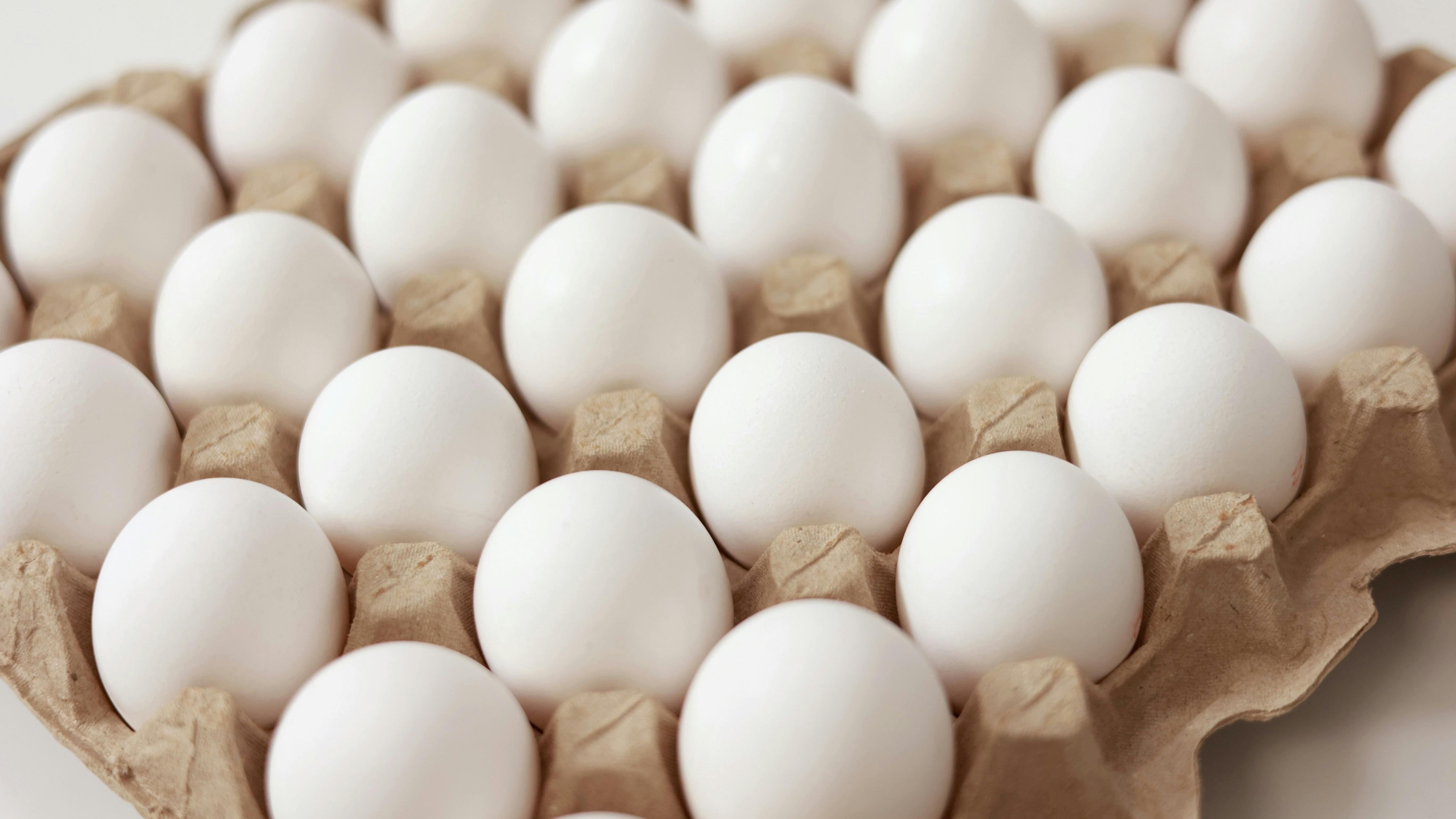 689a2d15215f454fdb2c50ed Shutterstock 2183387203