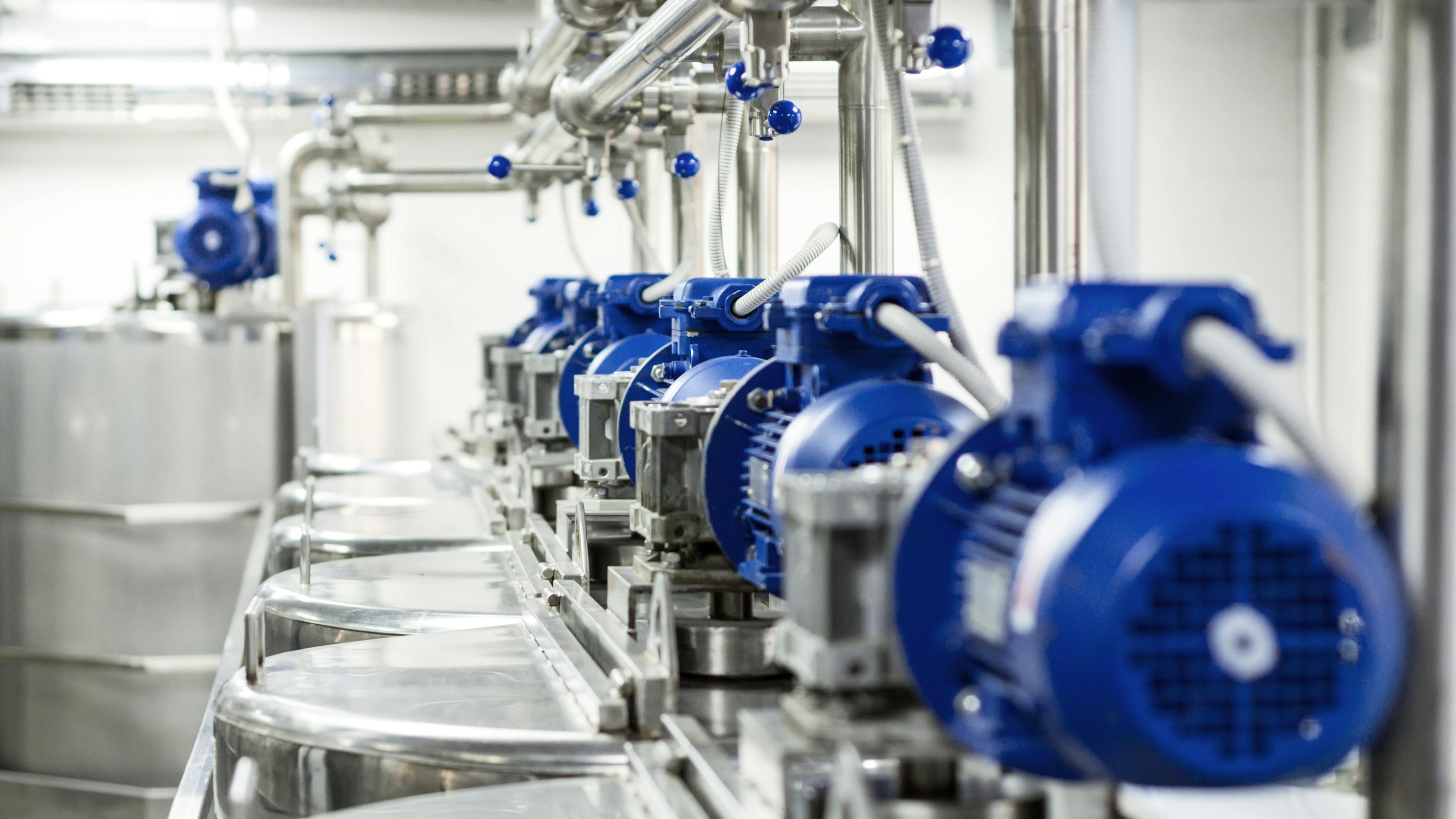 689a5c873f5b31ac53e67e49 Shutterstock 763417813