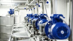 689a5c873f5b31ac53e67e49 Shutterstock 763417813 689a5c873f5b31ac53e67e49 Shutterstock 763417813