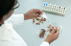 689cb8a5baf0b1c280a495dc Barrycallebaut 689cb8a5baf0b1c280a495dc Barrycallebaut