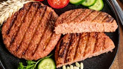 Source of fibre plant based vegan soya protein grilled burgers, meat free healthy food close up Source of fibre plant based vegan soya protein grilled burgers, meat free healthy food close up