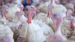 68a5f9e84305f341671f944a Shutterstock 2283332651 68a5f9e84305f341671f944a Shutterstock 2283332651