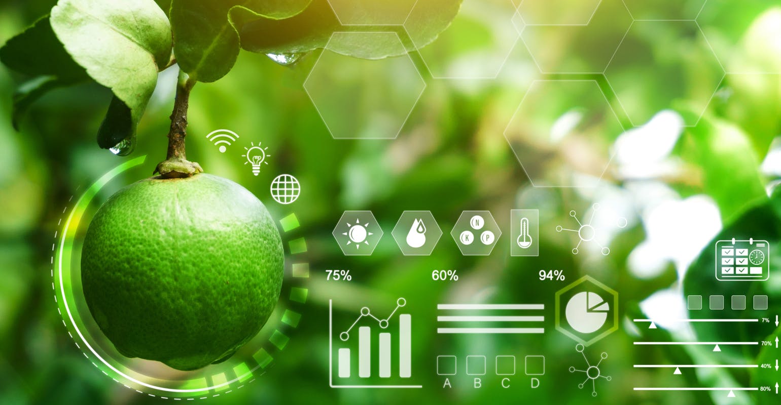 shurgreen_1540_x_800