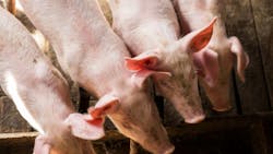 68c443d2e0c6989c4ef3e2f9 Shutterstock 2444650619 68c443d2e0c6989c4ef3e2f9 Shutterstock 2444650619