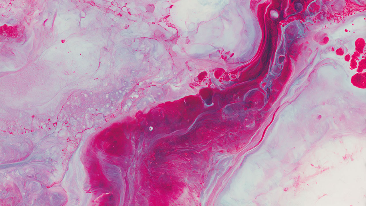 68d54510817680bb7d4bca0e 3900928998296556 Image231 Primaryimage