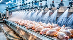 washdown_image washdown_image