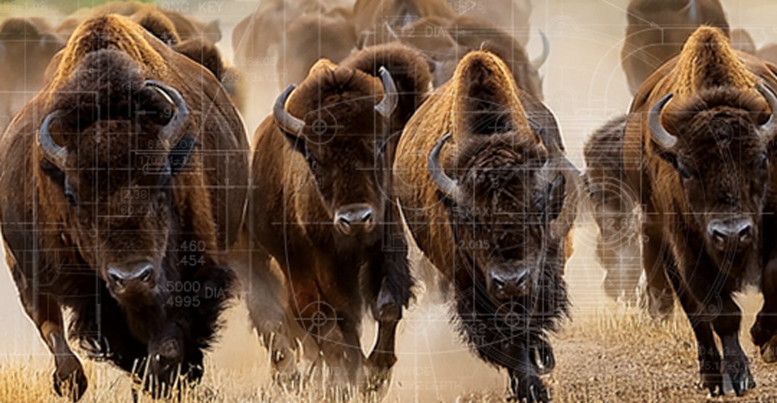 case_study_image_copy