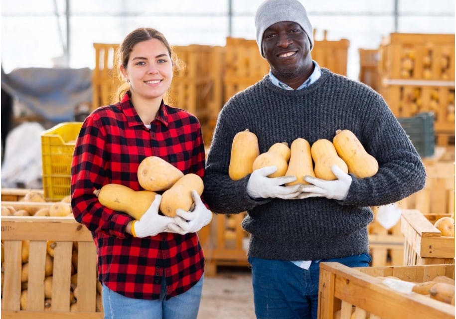 68dc4b564a8c40ed0f25fe91 Foodhub