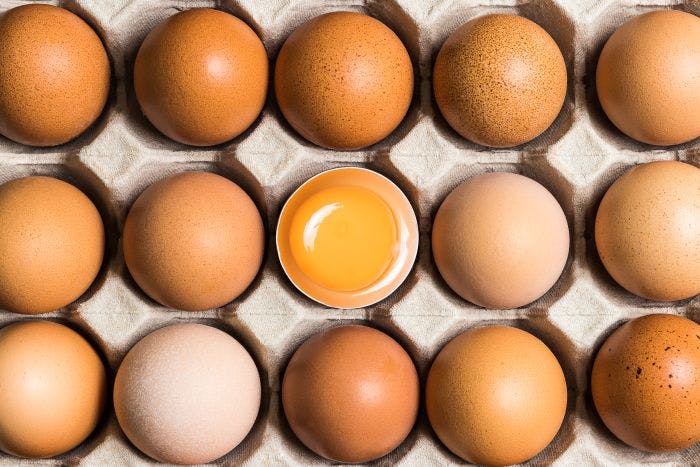 68dd4824aa58bd47095ab751 Eggsadobestock 241704860