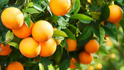 68dffe065cc16f27285f273f Shutterstock 1014021409 68dffe065cc16f27285f273f Shutterstock 1014021409